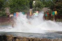 /album/galerie-de-photos-parc-asterix/img-2583-jpg/