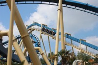 /album/galerie-de-photos-parc-asterix/img-2662-jpg/